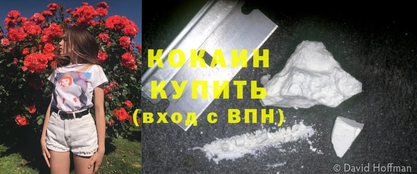 первитин Лиски