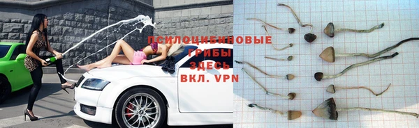 первитин Лиски