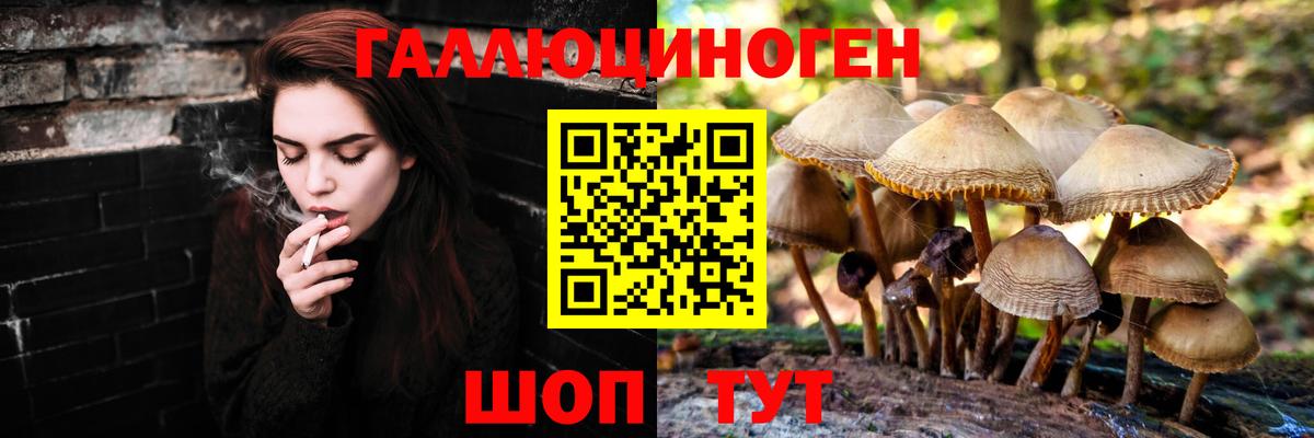Псилоцибиновые грибы Psilocybine cubensis  Вход с VPN  Нижневартовск 